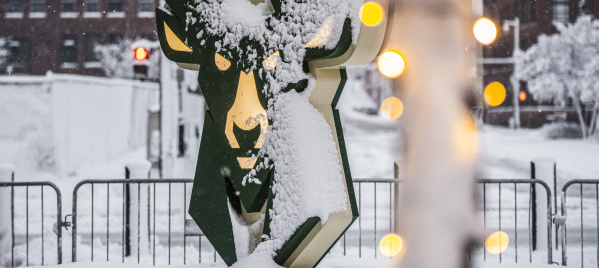 Milwaukee Bucks, Milwaukee, Winter, Staycation, Wisconsin