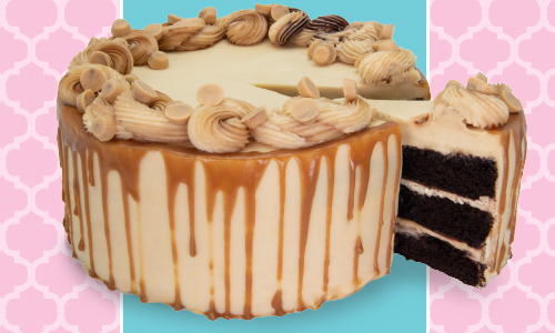cake-of-sep_thumb-web.webp