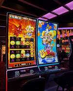 Potawatomi Casino Hotel, Casino, Slot Machines, UnWooly Riches, NYE